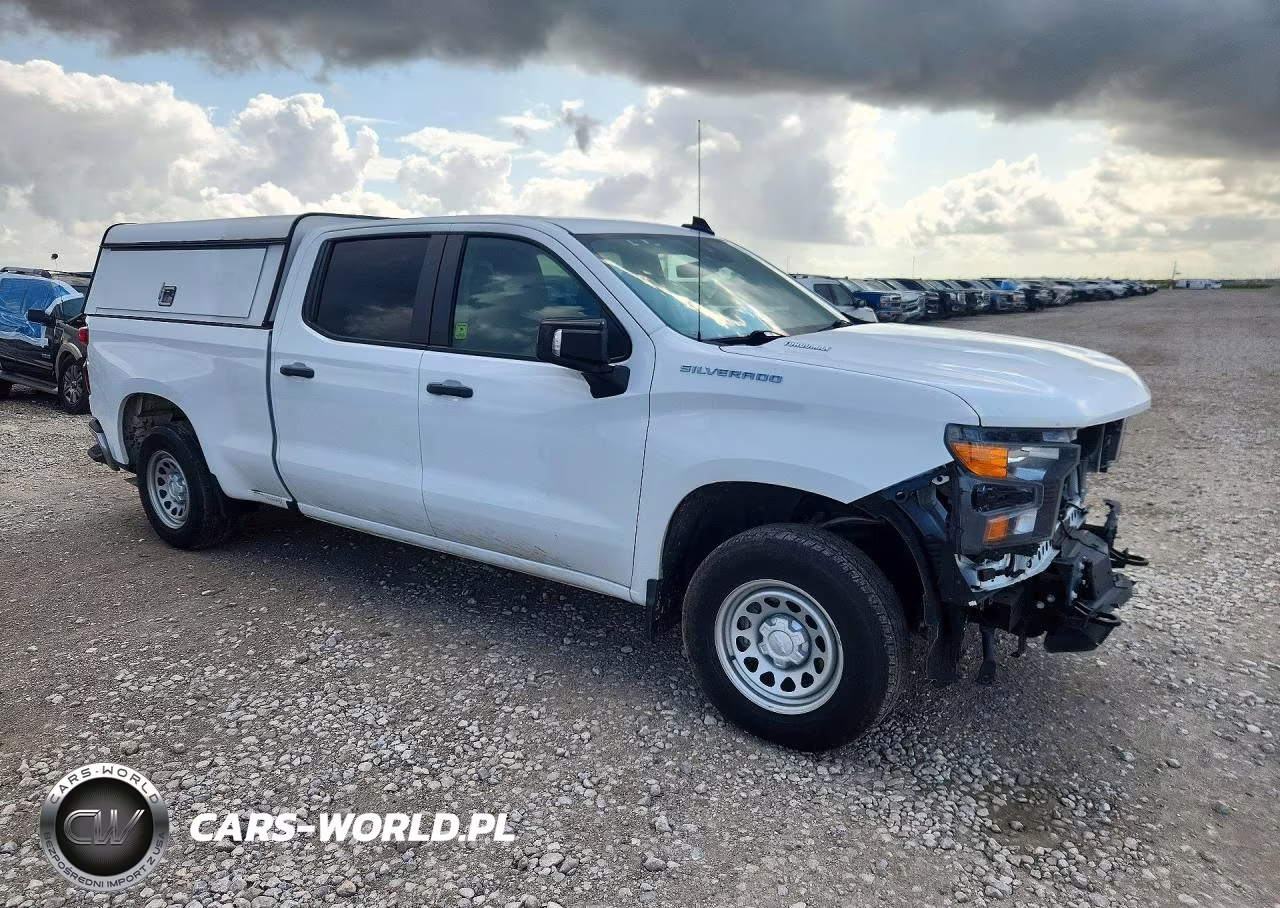 2025 Chevrolet Silverado K1500 VIN:1GCPKAEK6SZ244226 - 4