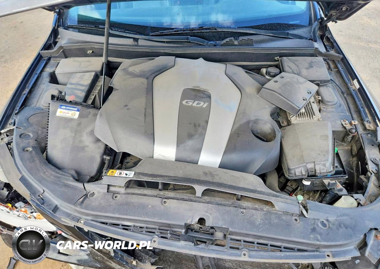 2013 Hyundai Genesis 3.8L VIN:KMHGC4DDXDU230262 - 11
