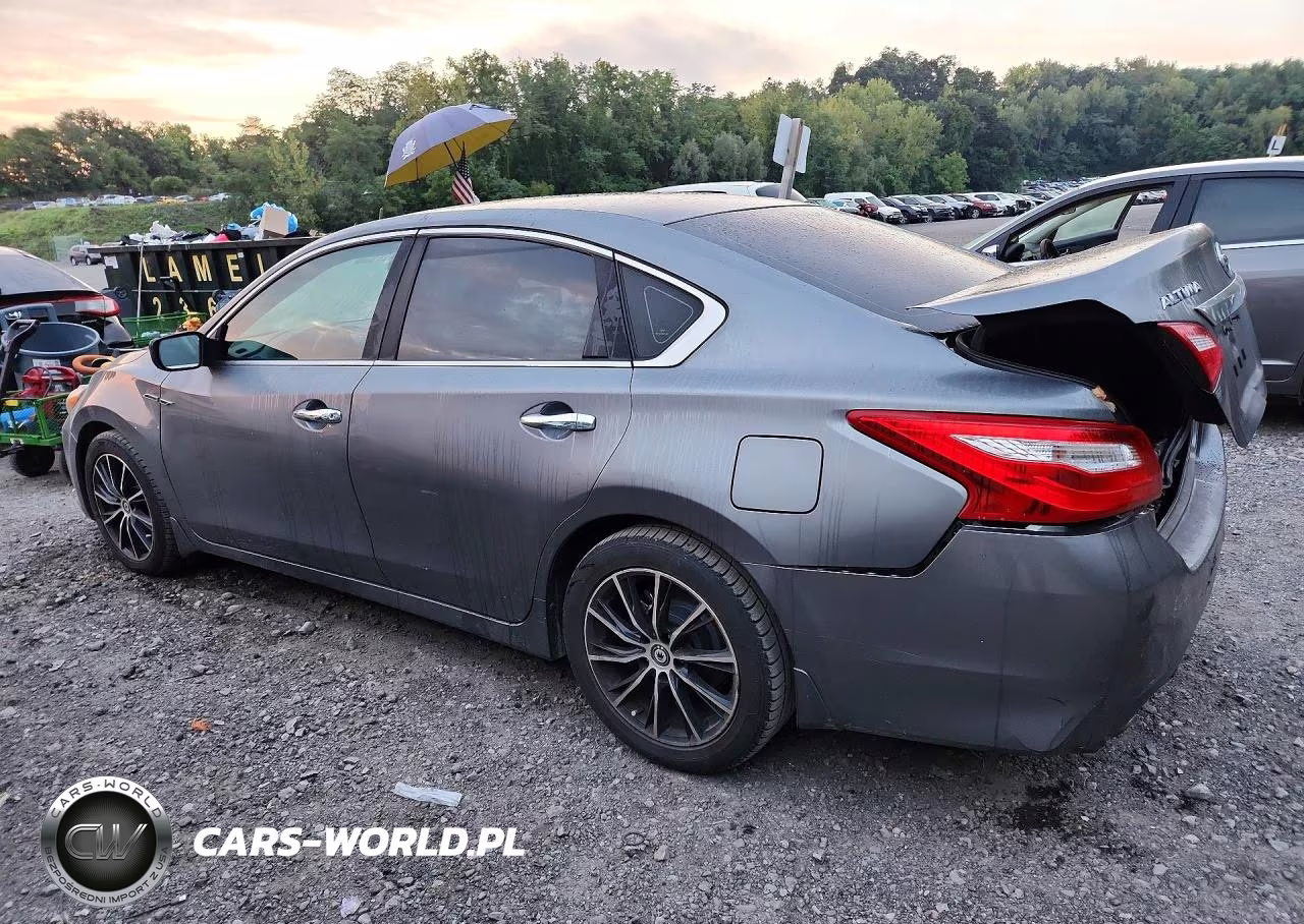 2017 Nissan Altima S VIN:1N4AL3AP8HN310541 - 2