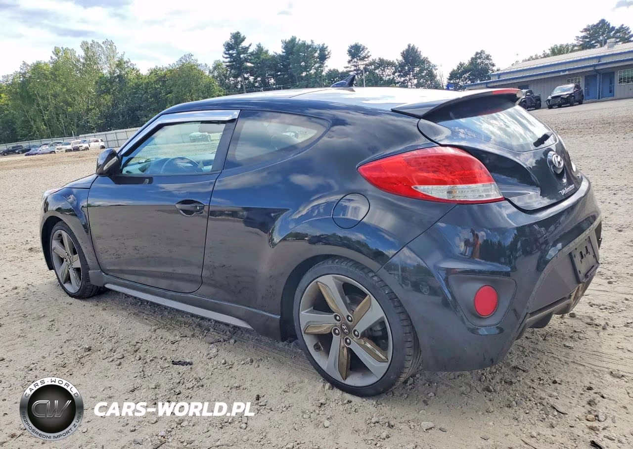 2013 Hyundai Veloster Turbo VIN:KMHTC6AEXDU110064 - 2