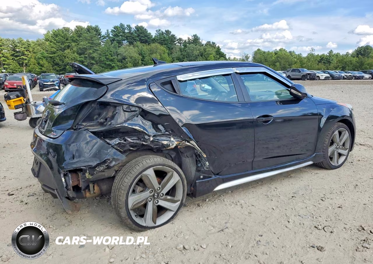 2013 Hyundai Veloster Turbo VIN:KMHTC6AEXDU110064 - 3