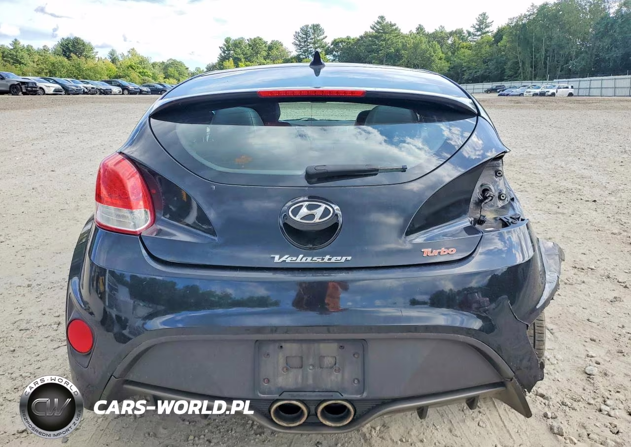 2013 Hyundai Veloster Turbo VIN:KMHTC6AEXDU110064 - 6