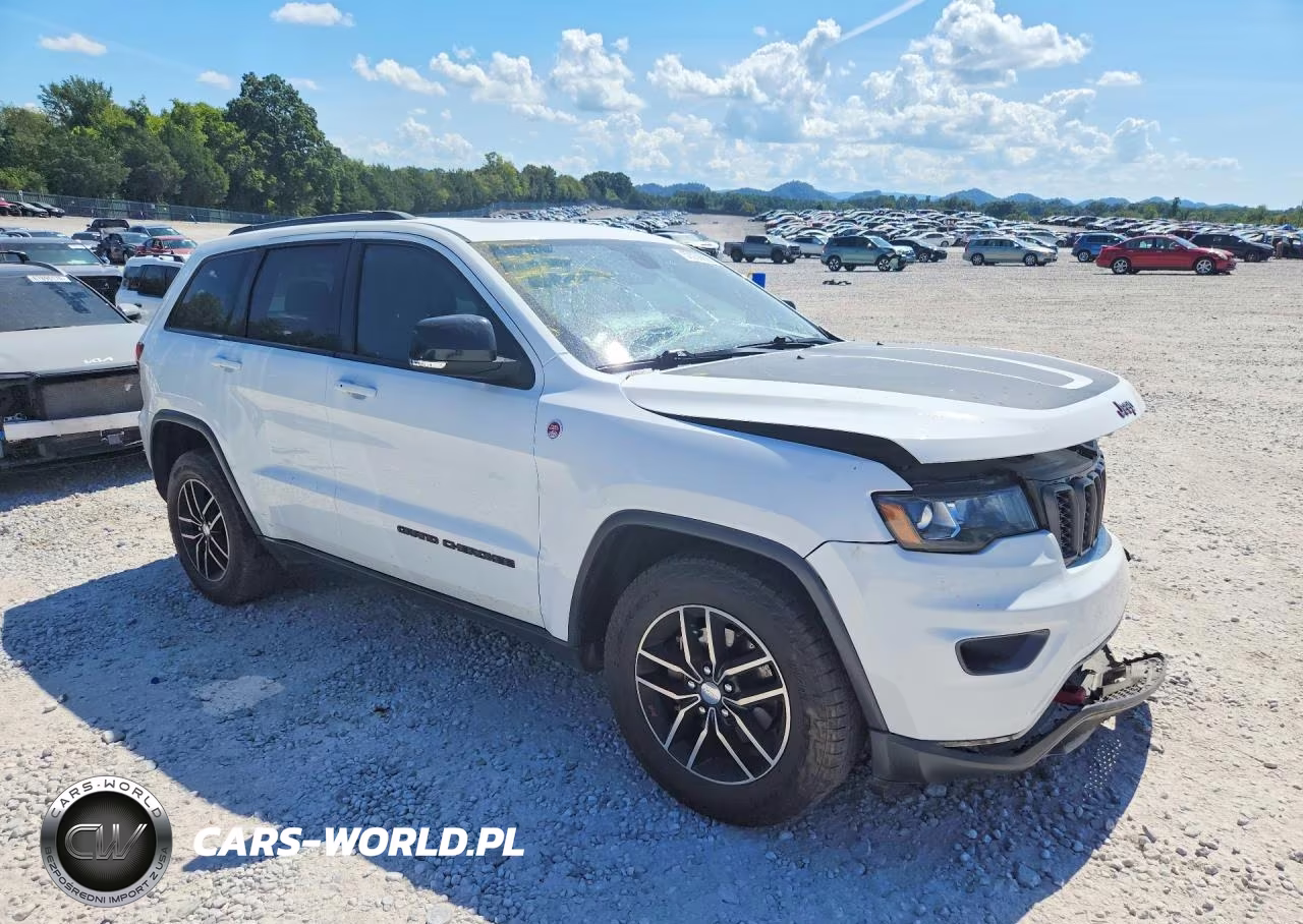 2018 Jeep Grand Cherokee Trailhawk VIN:1C4RJFLG7JC305902 - 4