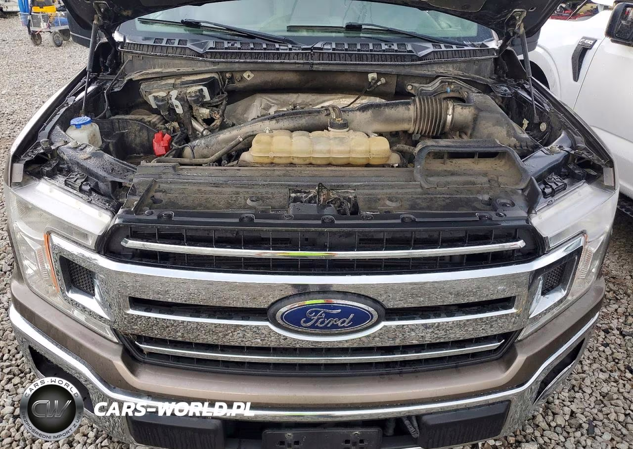 2020 Ford F150 Supercrew VIN:1FTEW1E41LFB22146 - 11