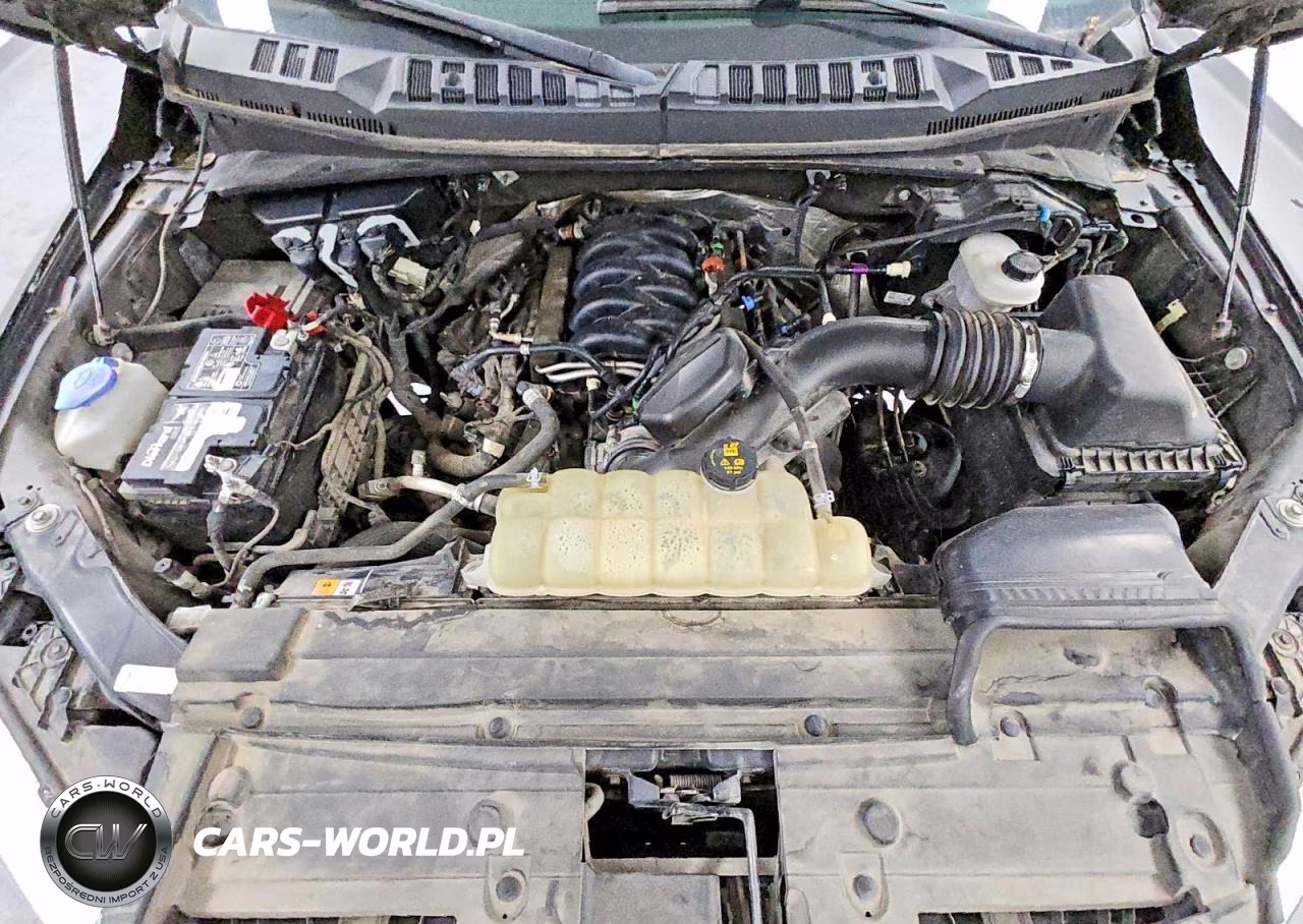 2020 Ford F150 Supercrew VIN:1FTEW1E59LKE70745 - 11