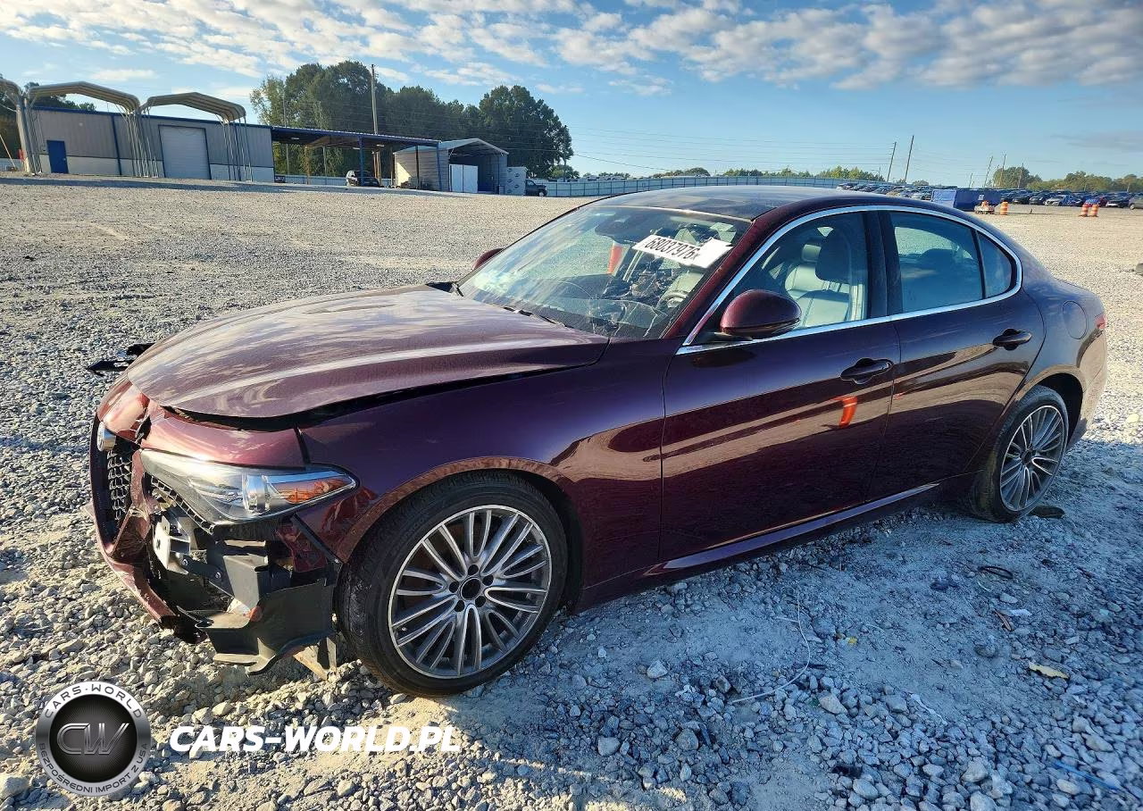 2019 Alfa Romeo Giulia Ti VIN:ZARFAMBN9K7612124 - 1