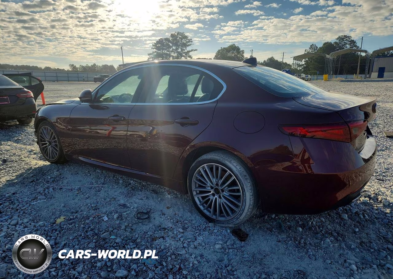 2019 Alfa Romeo Giulia Ti VIN:ZARFAMBN9K7612124 - 2