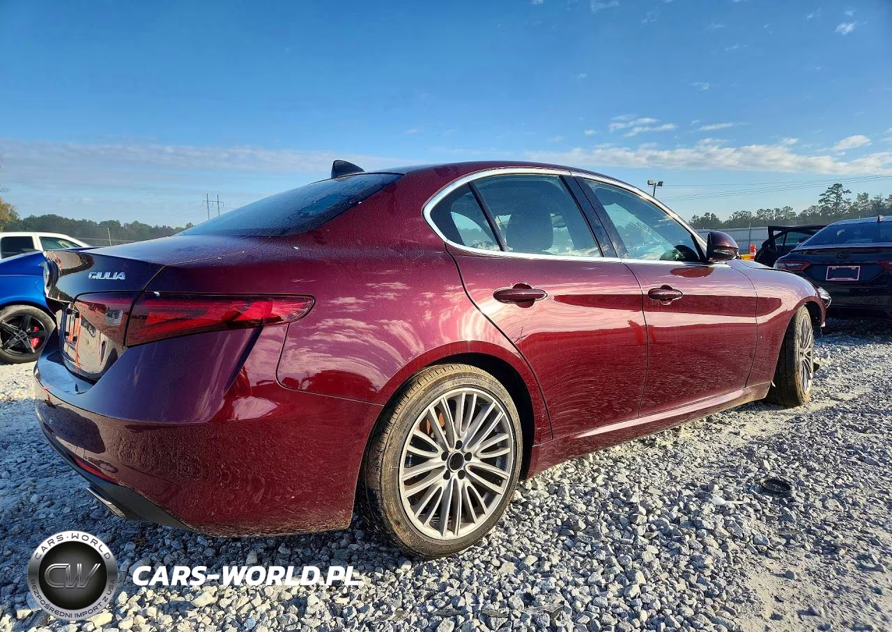 2019 Alfa Romeo Giulia Ti VIN:ZARFAMBN9K7612124 - 3
