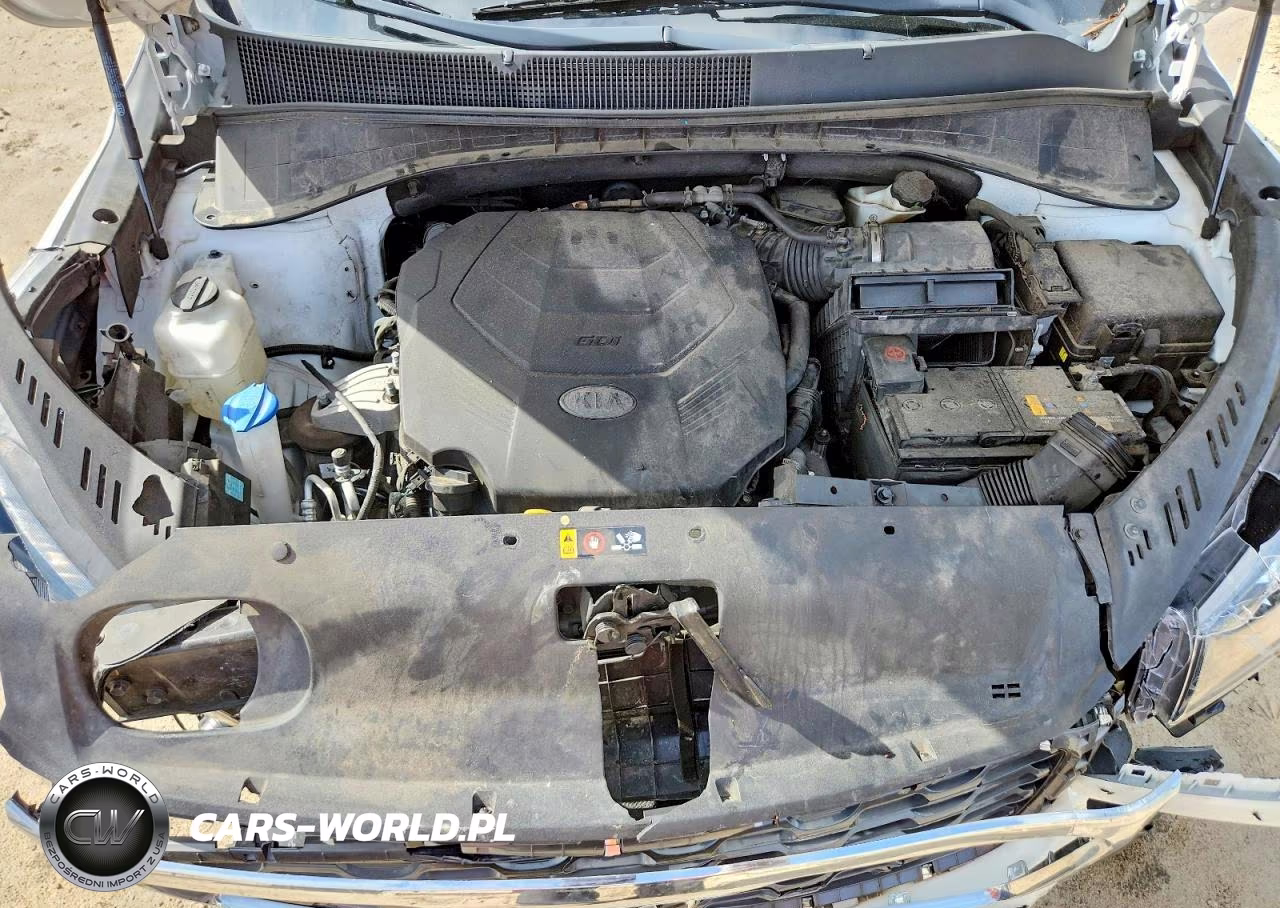 2020 Kia Sorento Ex V6 VIN:5XYPH4A5XLG675958 - 12