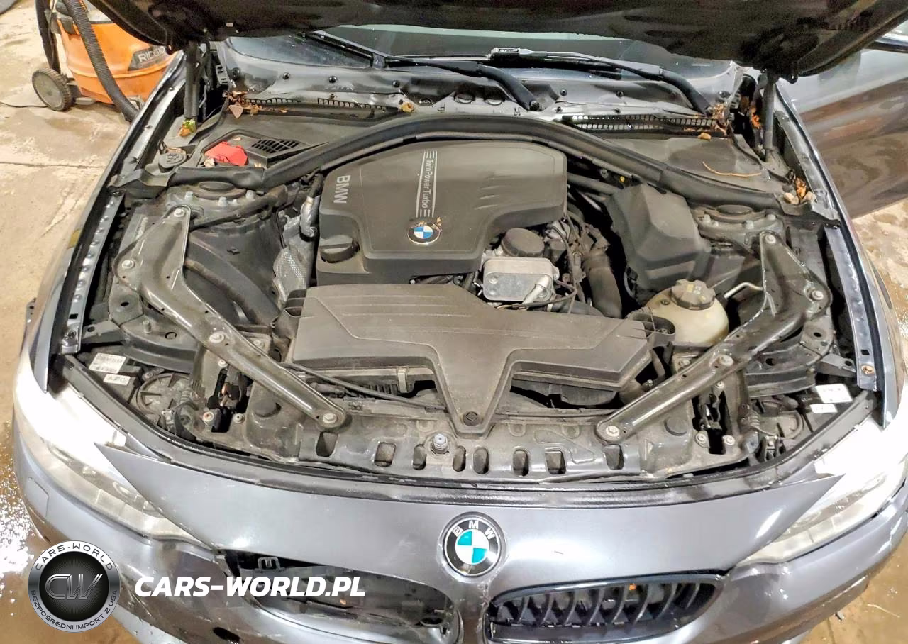 2016 BMW 428 Xi Sulev VIN:WBA3T1C58GP822142 - 11