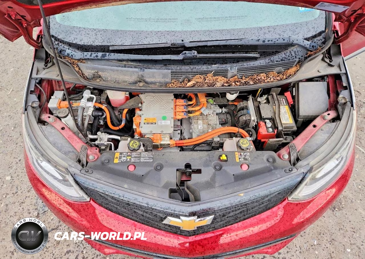 2017 Chevrolet Bolt Ev Lt VIN:1G1FW6S02H4113616 - 12