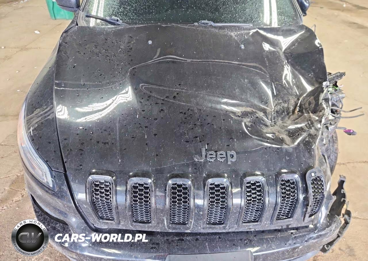 2017 Jeep Cherokee Limited VIN:1C4PJMDB5HW625047 - 12