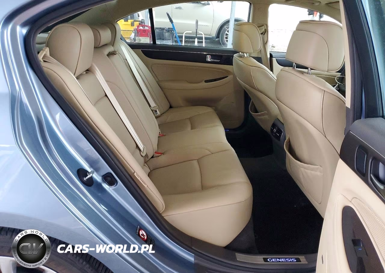 2009 Hyundai Genesis 4.6L VIN:KMHGC46F49U058543 - 10