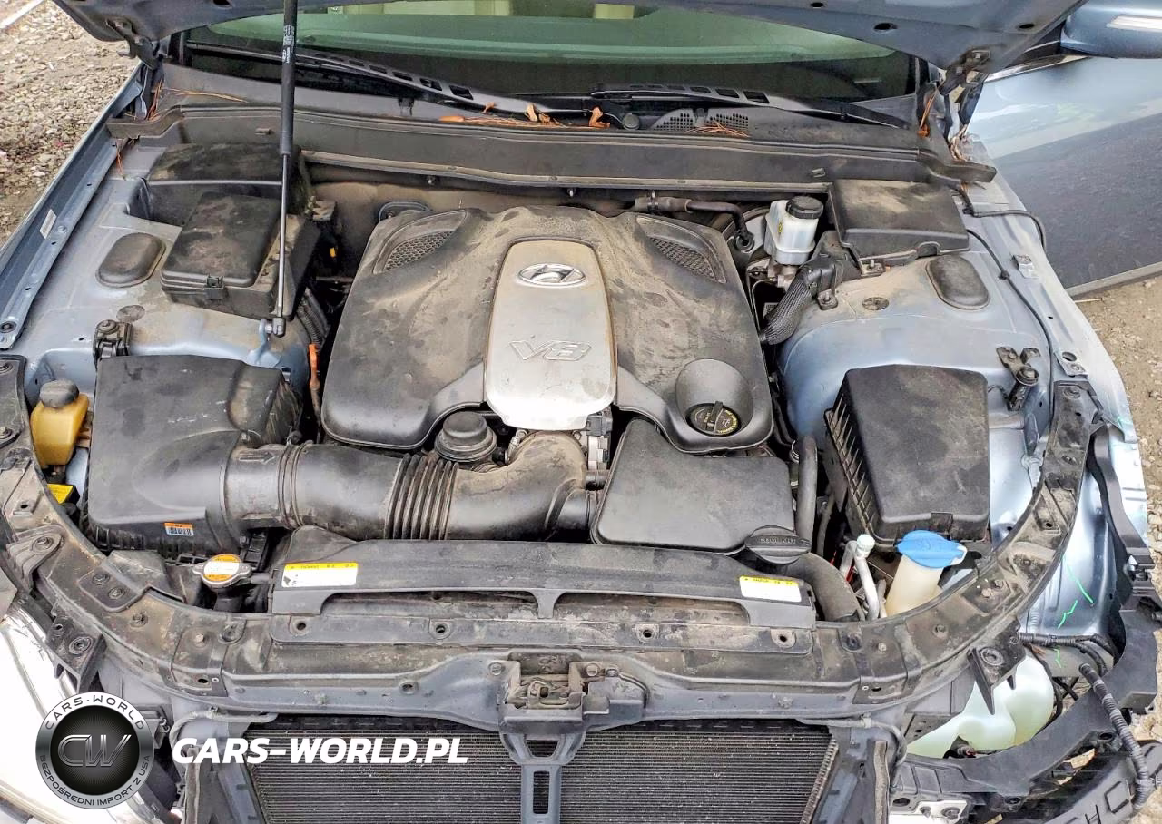 2009 Hyundai Genesis 4.6L VIN:KMHGC46F49U058543 - 11