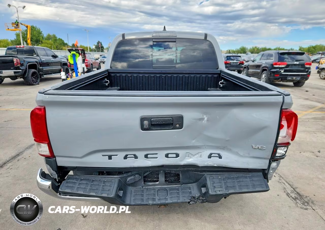 2019 Toyota Tacoma Trd Off-Road VIN:3TMCZ5AN9KM277451 - 6