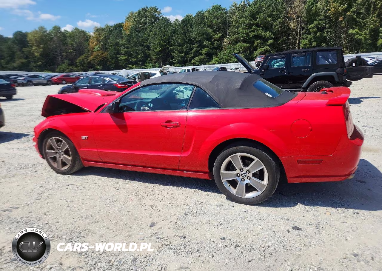 2008 Ford Mustang Gt VIN:1ZVHT85H285130915 - 2