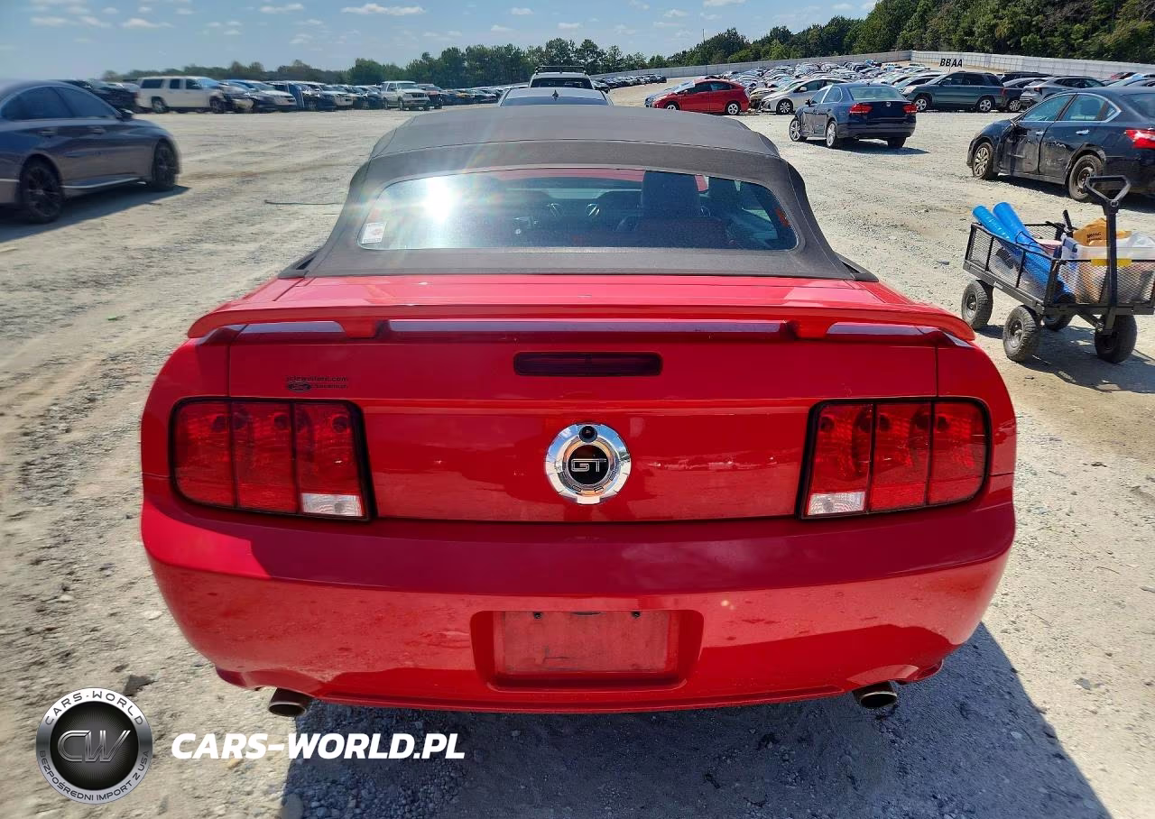 2008 Ford Mustang Gt VIN:1ZVHT85H285130915 - 6