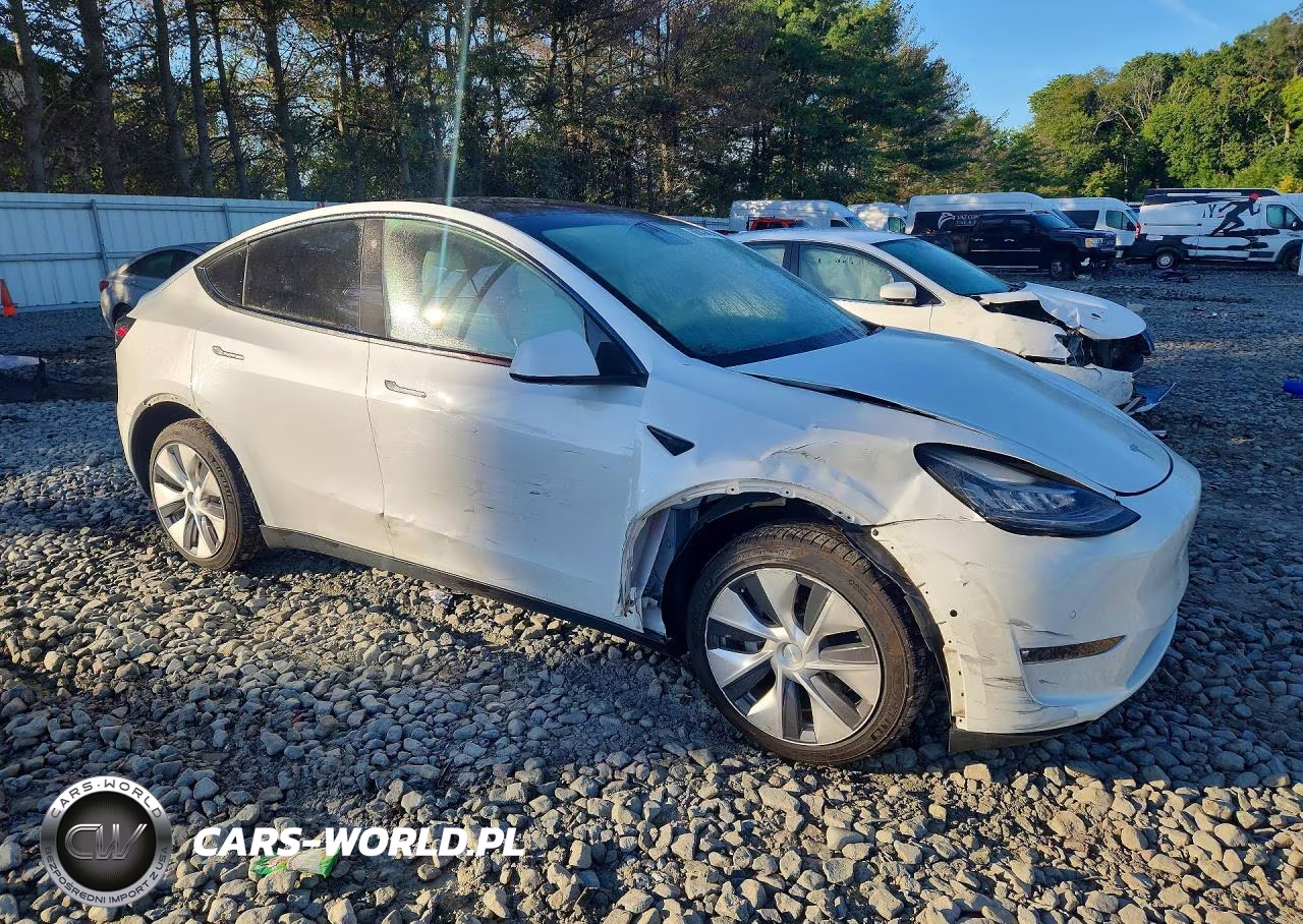 2021 Tesla Model Y VIN:5YJYGDEE3MF187414 - 4