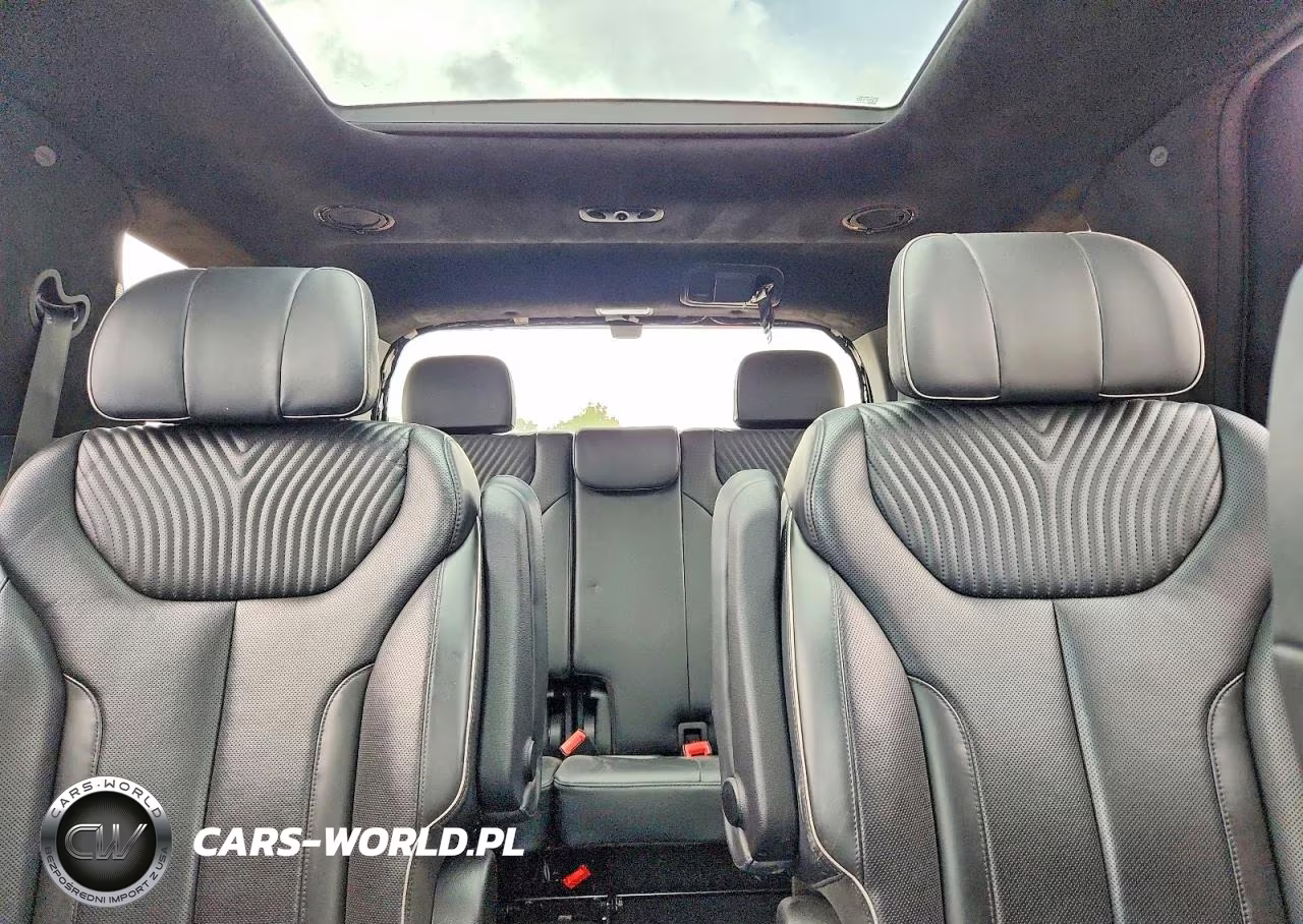 2023 Hyundai Palisade Calligraphy VIN:KM8R74GE7PU522246 - 10