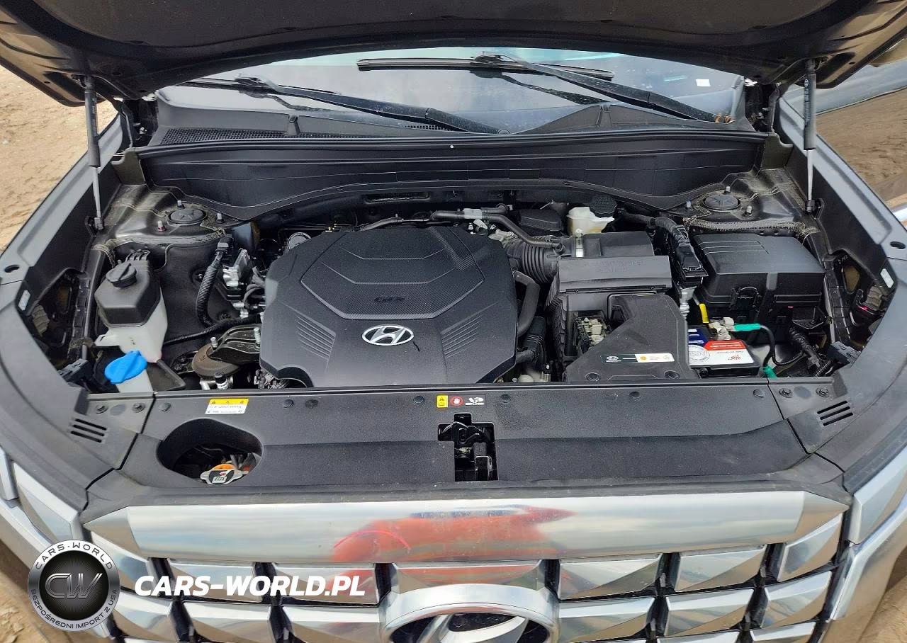 2023 Hyundai Palisade Calligraphy VIN:KM8R74GE7PU522246 - 12