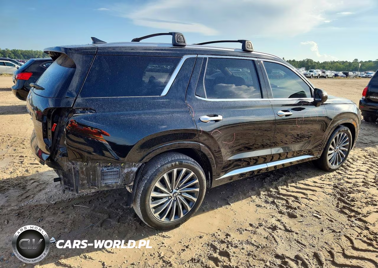 2023 Hyundai Palisade Calligraphy VIN:KM8R74GE7PU522246 - 3