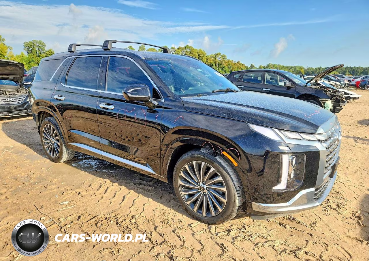2023 Hyundai Palisade Calligraphy VIN:KM8R74GE7PU522246 - 4