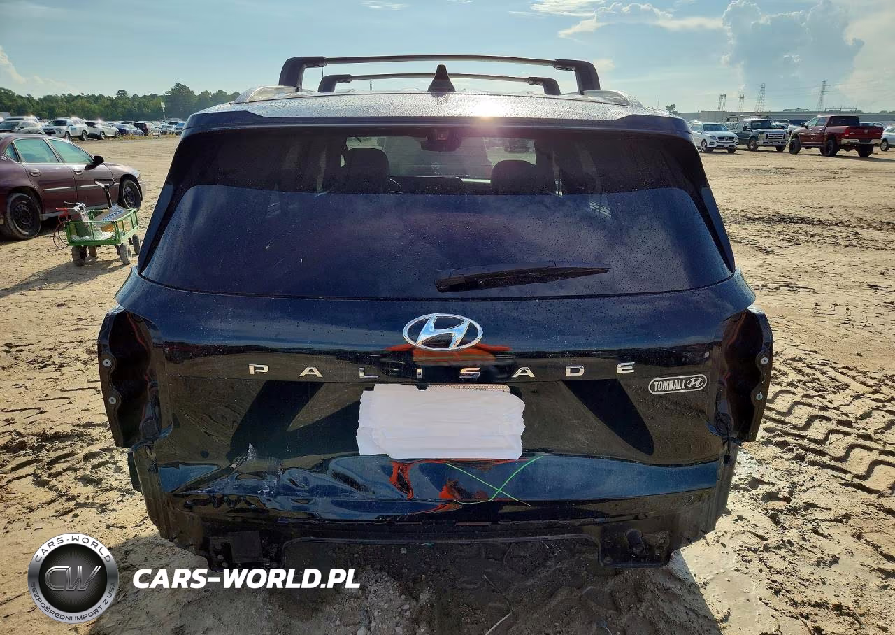 2023 Hyundai Palisade Calligraphy VIN:KM8R74GE7PU522246 - 6