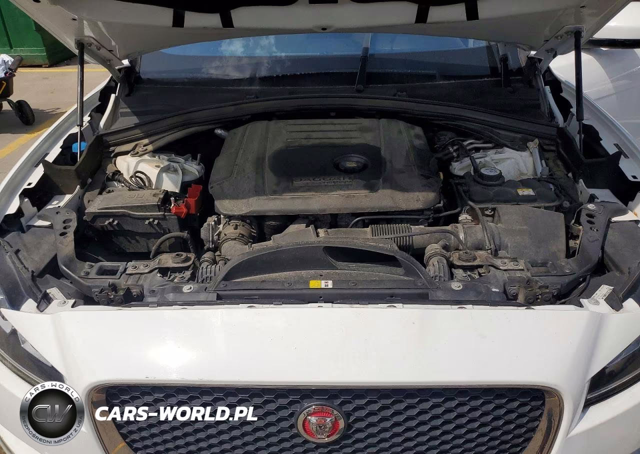 2018 Jaguar F-Pace Premium VIN:SADCJ2FN7JA255544 - 12