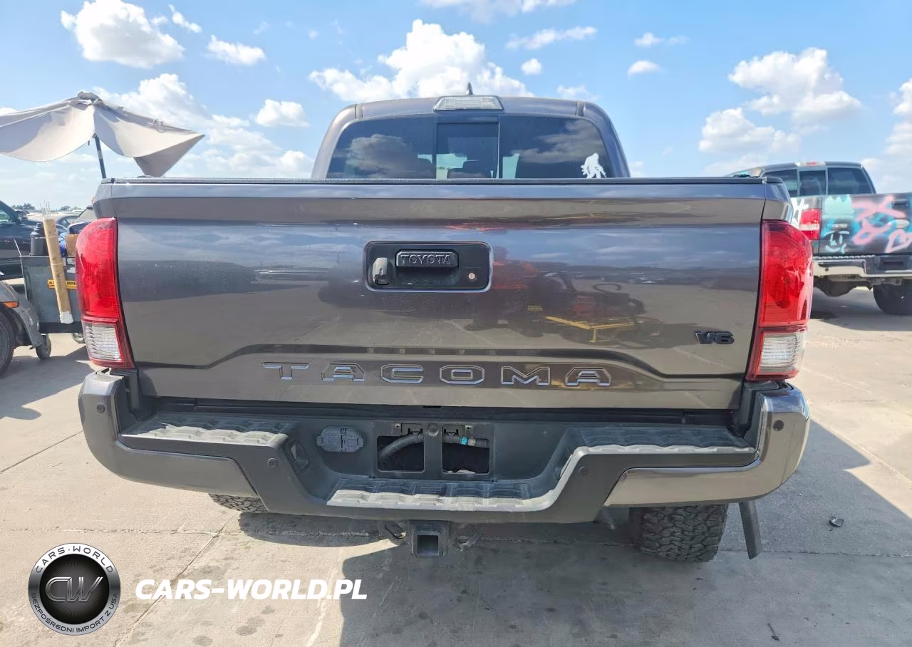 2018 Toyota Tacoma Trd Sport VIN:5TFCZ5AN7JX163859 - 6