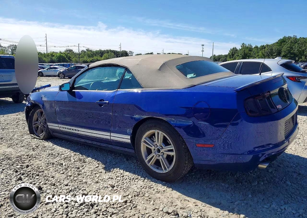 2013 Ford Mustang VIN:1ZVBP8EM7D5222880 - 2