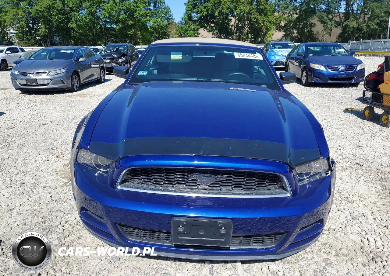 2013 Ford Mustang VIN:1ZVBP8EM7D5222880 - 5