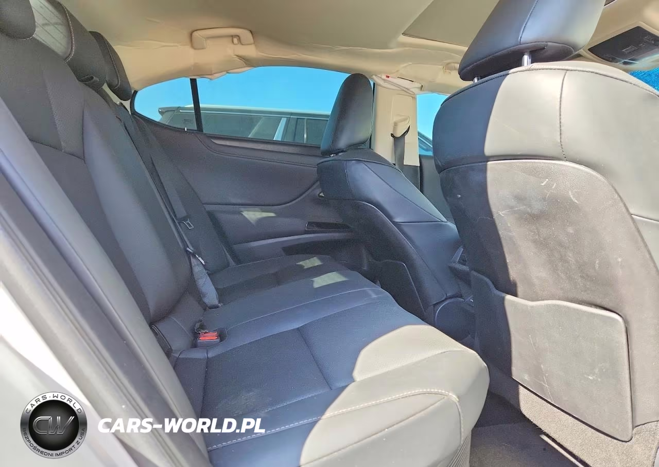 2023 Lexus Es 300H Base VIN:58ADA1C14PU029582 - 10