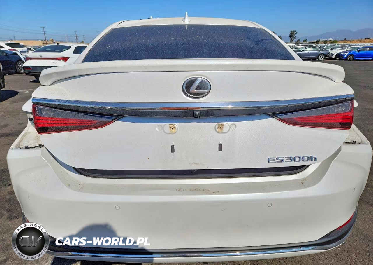 2023 Lexus Es 300H Base VIN:58ADA1C14PU029582 - 6