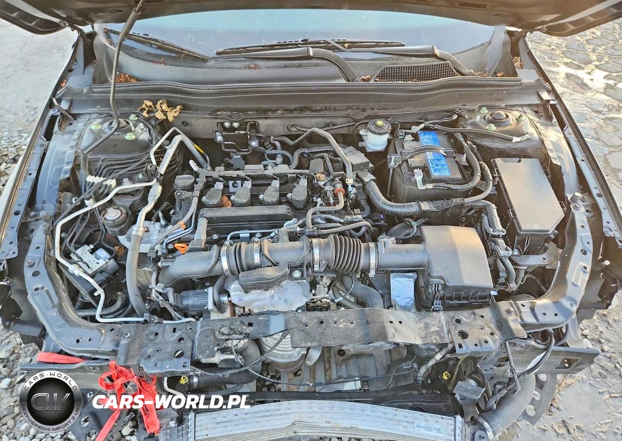 2021 Honda Accord Lx VIN:1HGCV1F11MA033322 - 11