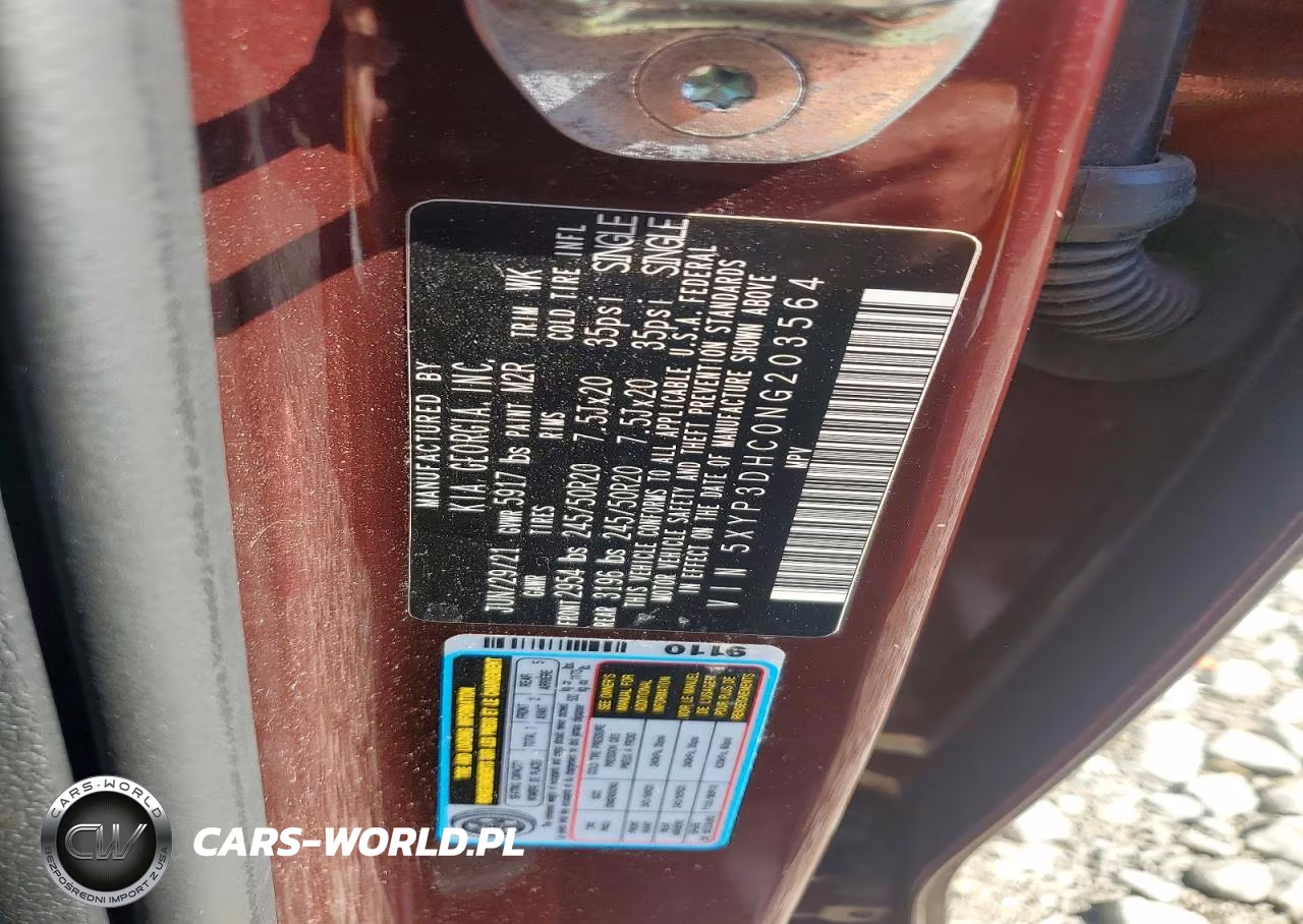 2022 Kia Telluride Ex VIN:5XYP3DHC0NG203564 - 13