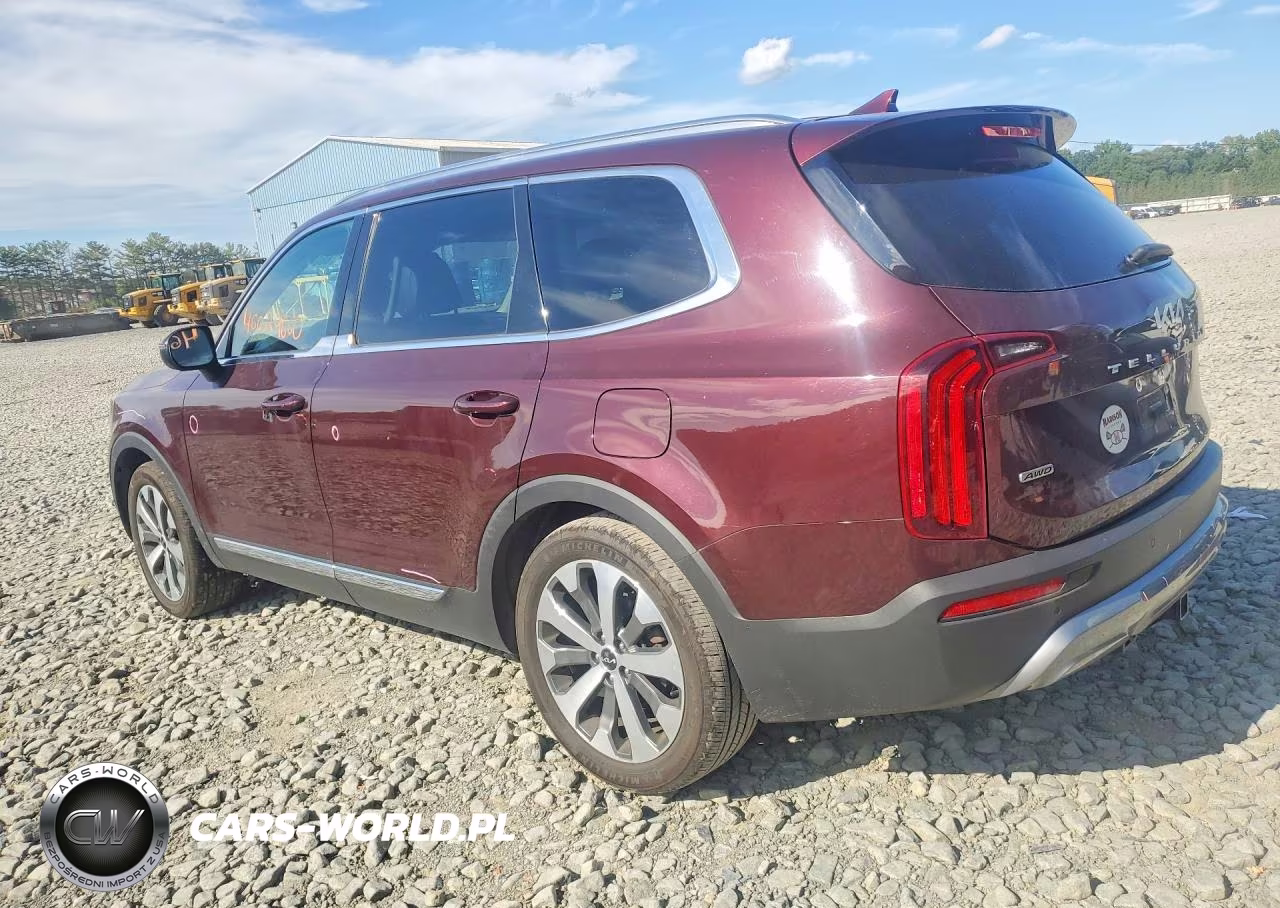 2022 Kia Telluride Ex VIN:5XYP3DHC0NG203564 - 2