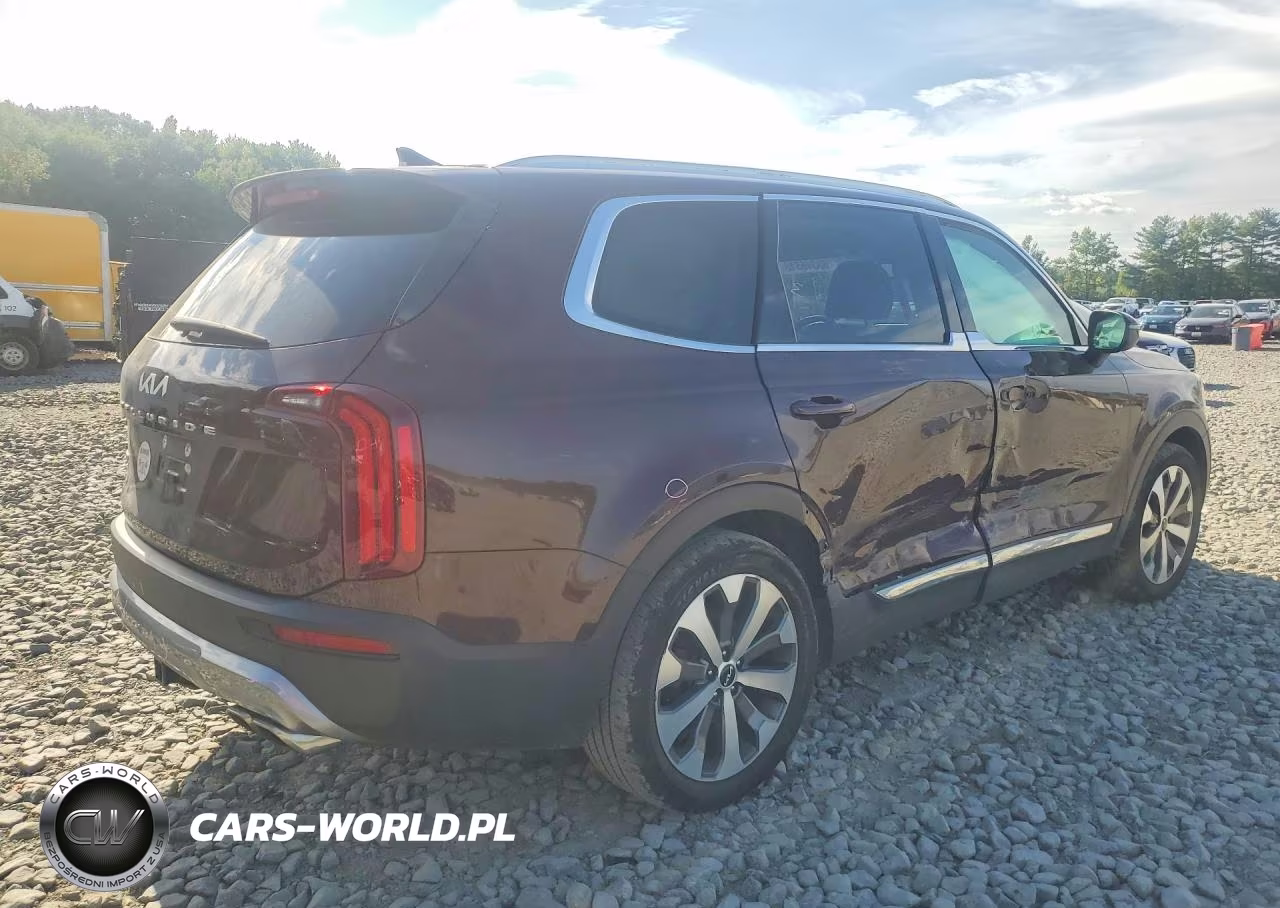 2022 Kia Telluride Ex VIN:5XYP3DHC0NG203564 - 3