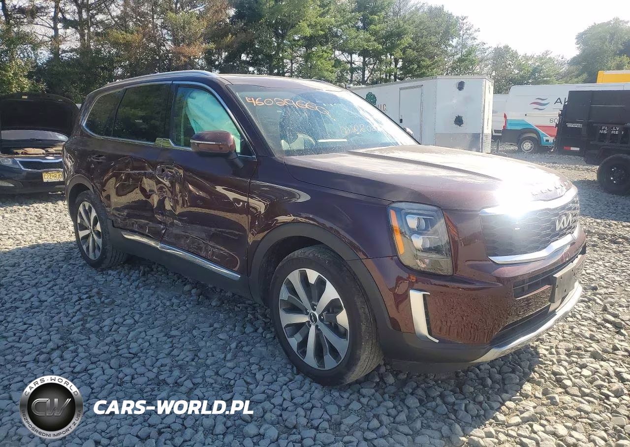 2022 Kia Telluride Ex VIN:5XYP3DHC0NG203564 - 4