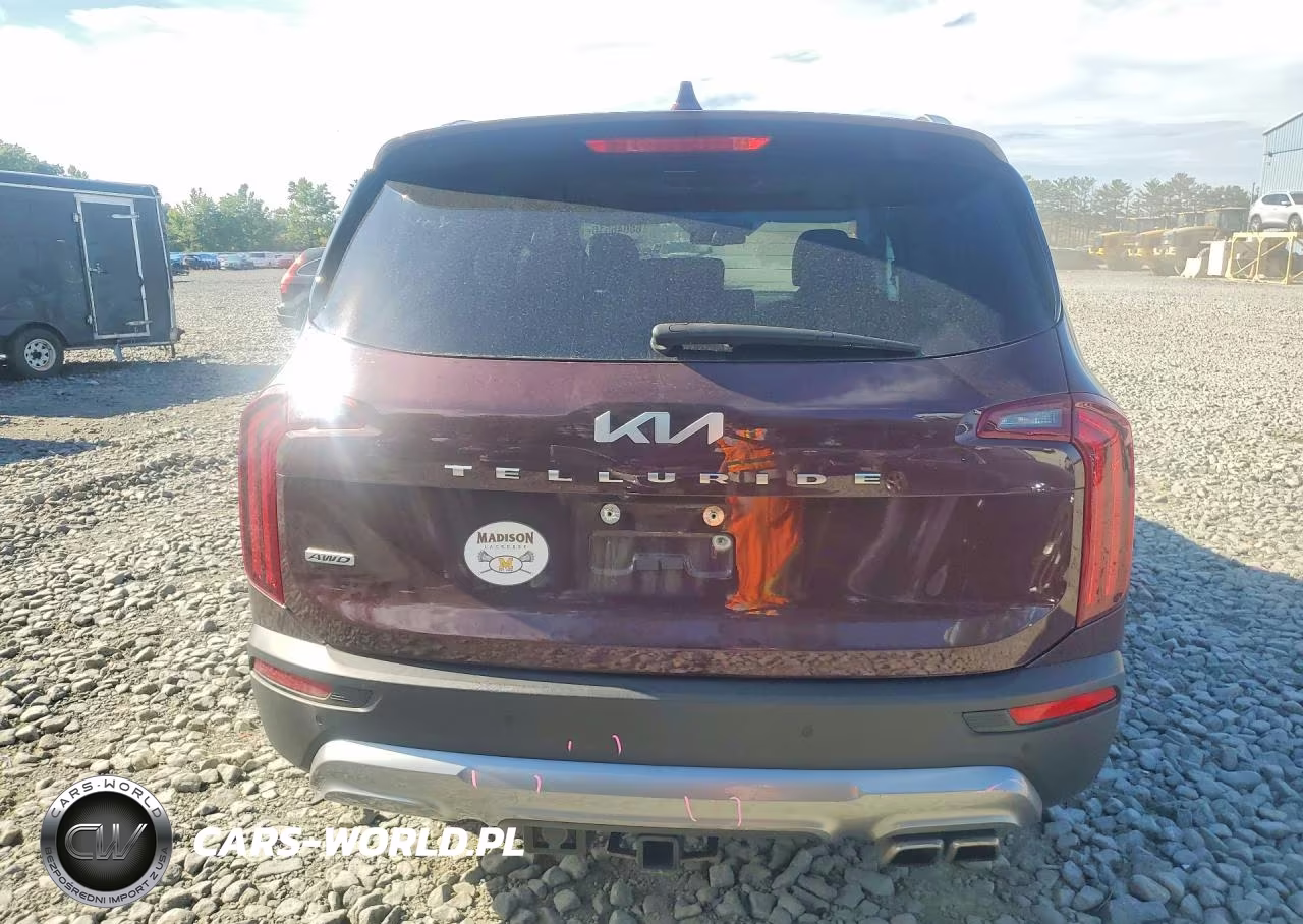 2022 Kia Telluride Ex VIN:5XYP3DHC0NG203564 - 6