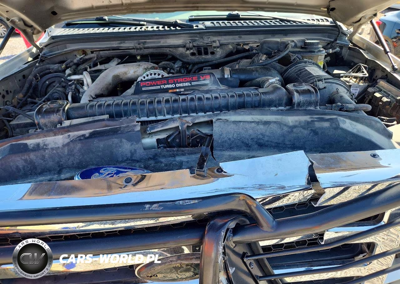 2005 Ford F250 Super Duty VIN:1FTSW21P05ED38295 - 11