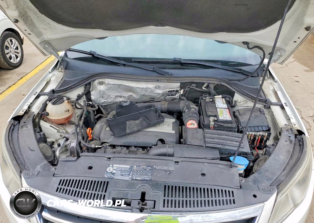 2009 Volkswagen Tiguan Se VIN:WVGBV75N69W518868 - 12
