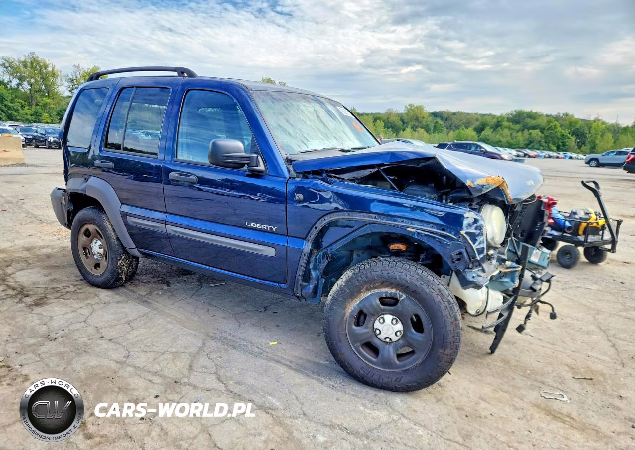 2004 Jeep Liberty Sport VIN:1J4GL48K94W138216 - 4