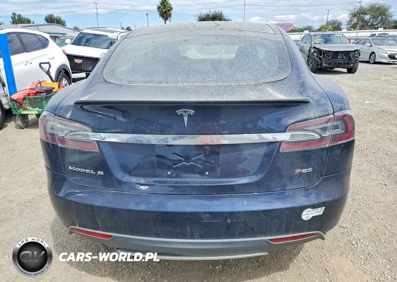 2013 Tesla Model S Performance VIN:5YJSA1DP8DFP06935 - 6