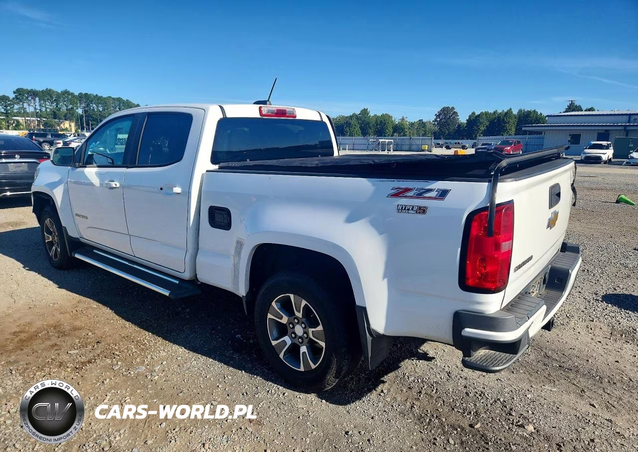 2015 Chevrolet Colorado Z71 VIN:1GCGSCE39F1174696 - 2