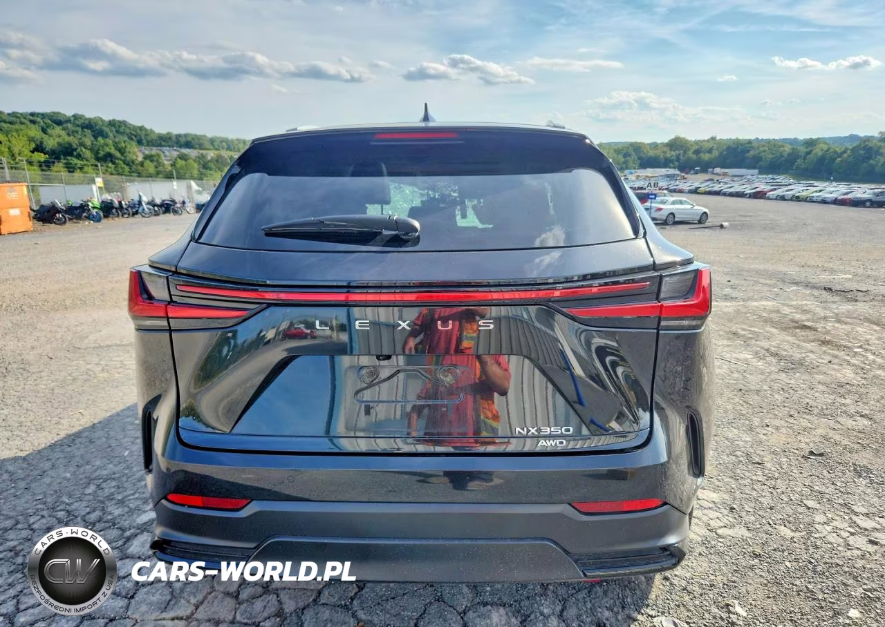 2024 Lexus Nx 350 Premium VIN:2T2GGCEZ4RC043239 - 6