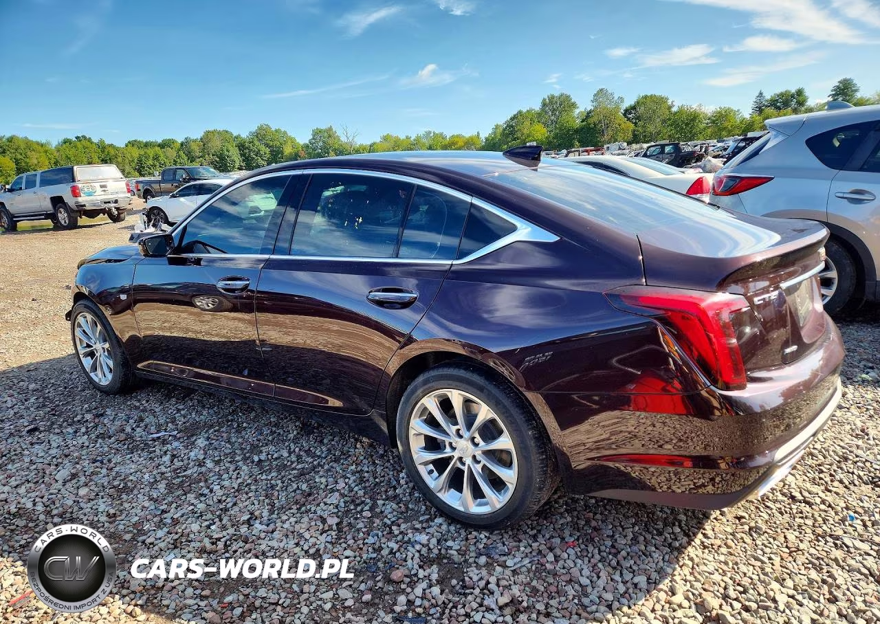 2022 Cadillac Ct5 Premium Luxury VIN:1G6DT5RWXN0109380 - 2
