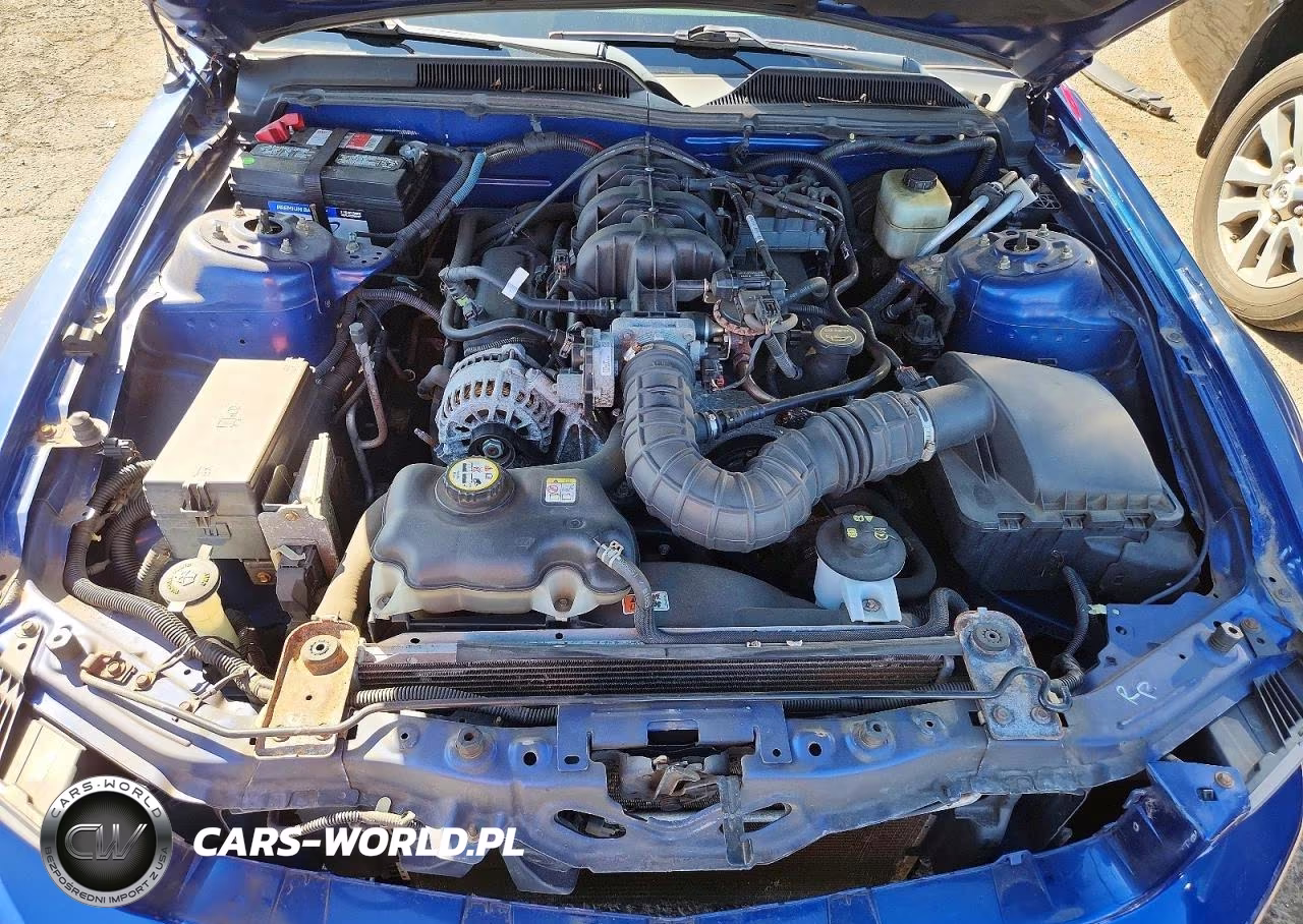 2006 Ford Mustang VIN:1ZVFT84NX65232071 - 11
