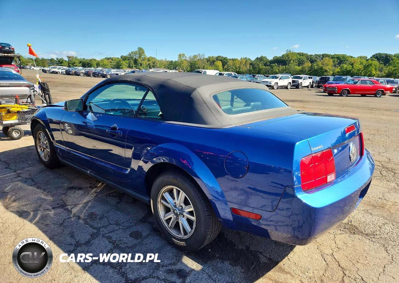 2006 Ford Mustang VIN:1ZVFT84NX65232071 - 2