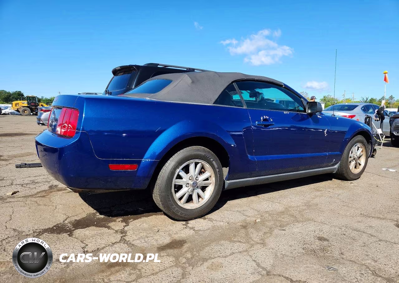 2006 Ford Mustang VIN:1ZVFT84NX65232071 - 3