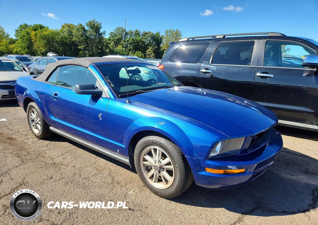 2006 Ford Mustang VIN:1ZVFT84NX65232071 - 4